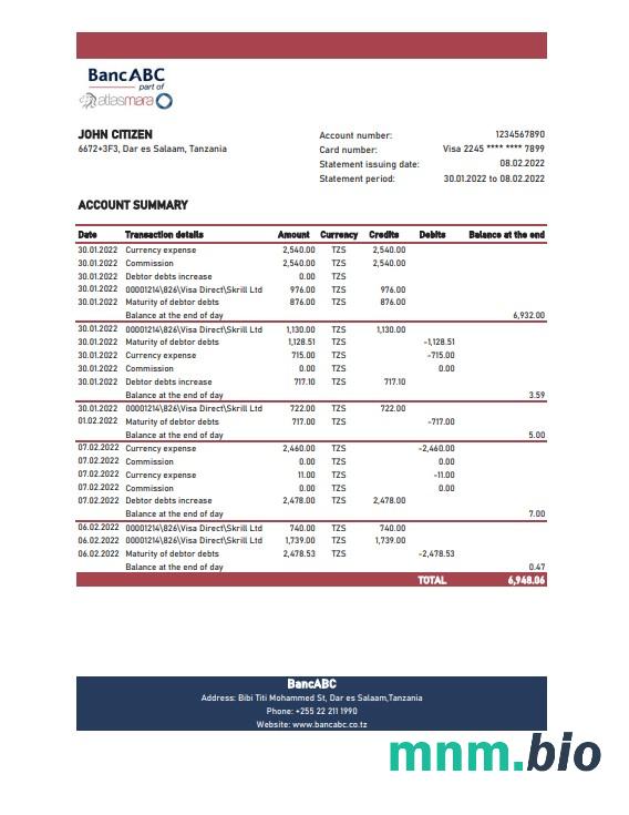 Wyciąg bankowy Tanzania Access, szablon Excel i PDF